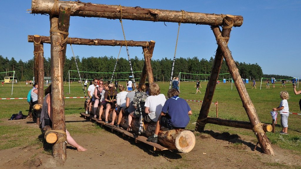 В Алтайском крае забронировано 17 700 путевок через сервис «Детский отдых» Фото №1