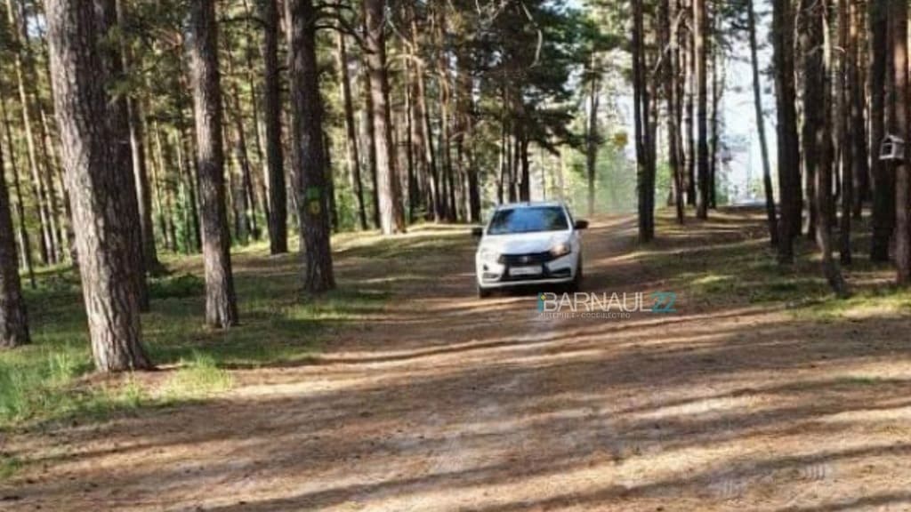 Барнаульцы жалуются в соцсетях на обнаглевших автолюбителей Фото №1