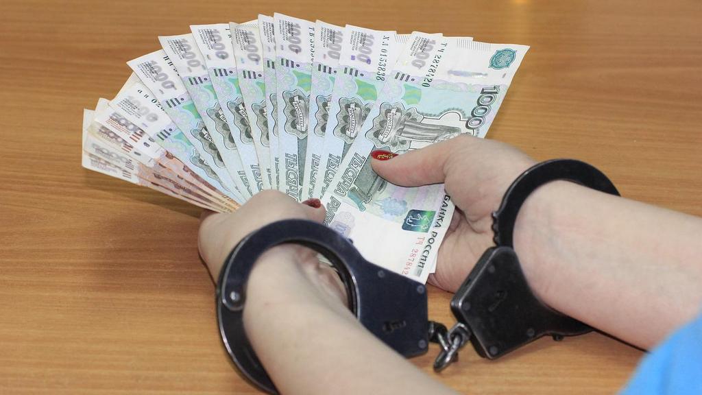 Жительница Барнаула второй раз предстанет перед судом за хищение бюджетных средств Фото №1