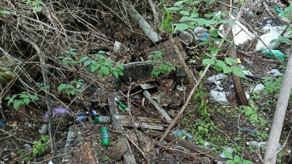 Барнаульцы пожаловались на свалку, которая образовалась рядом с озером на Гущина Фото №6