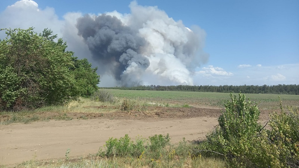 В Алтайской крае загорелся лес в Михайловском районе Фото №1