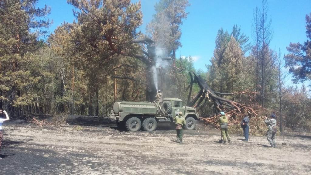 В Угловском и Михайловском районах продолжается ликвидация крупных пожаров Фото №3