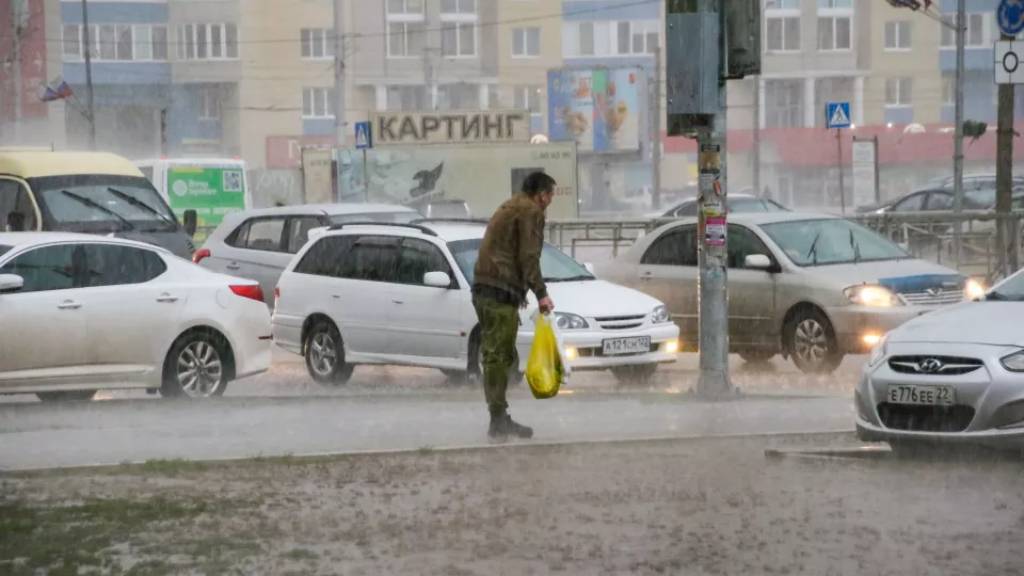В Барнауле выпала треть месячной нормы осадков Фото №1