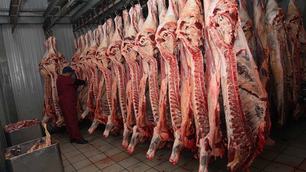 Предприниматели из Красноярского края хотят закупать мясо в Алтайском крае Фото №1