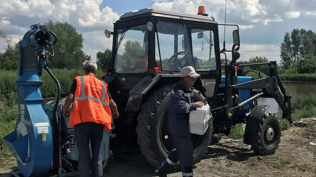 Возле объектов барнаульского водоканала уничтожили дикорастущую коноплю Фото №1