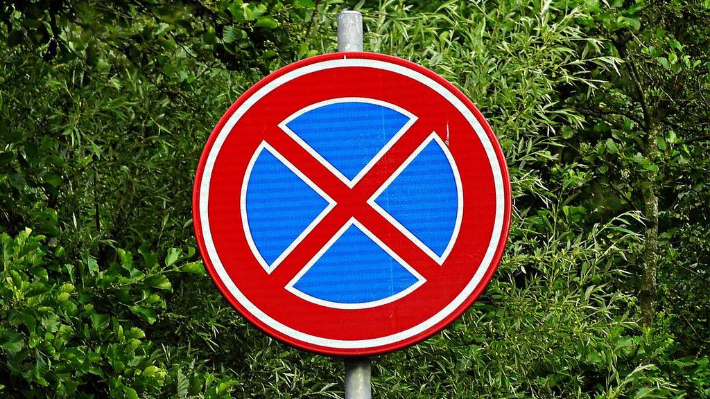 В Барнауле ограничат стоянку транспорта рядом с Дворцом бракосочетания Фото №1