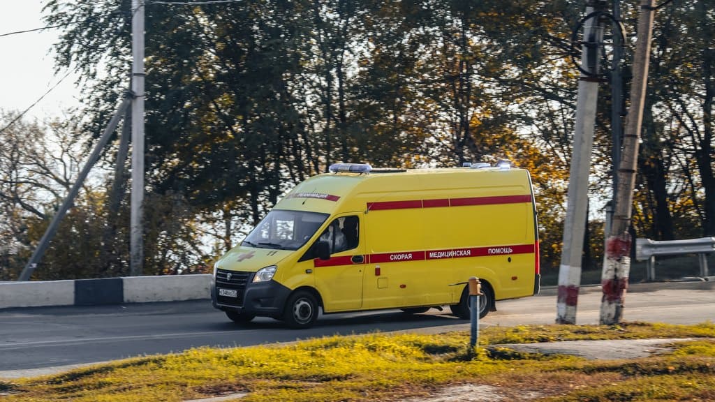 Алтайский край приобрел 25 автомобилей для оказания медицинской помощи Фото №1