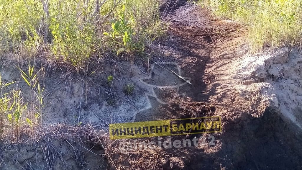 В барнаульский Ковш второй год подряд сливают нефтепродукты Фото №2