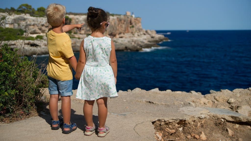 В Барнауле оперативно нашли потерявшихся 4-летних детей Фото №1