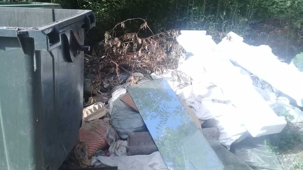 Что-то тут нечисто! Жители Рубцовска жалуются на антисанитарию, которую не видят местные власти Фото №2
