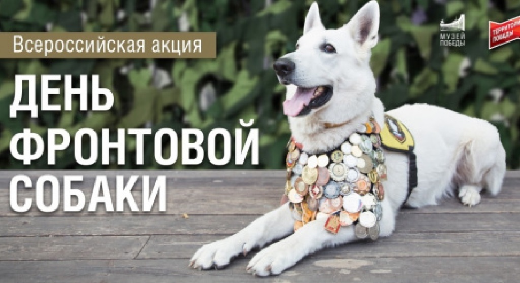 Алтайский край присоединился ко Всероссийской акции «День фронтовой собаки» Фото №1