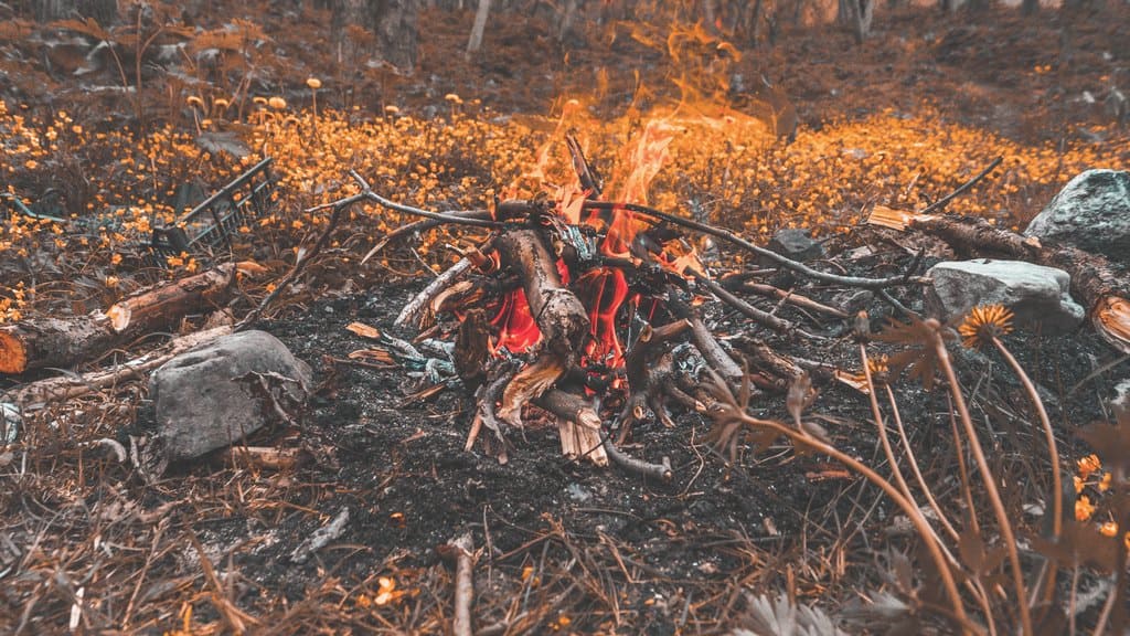 В Алтайском крае ожидается период повышенной пожарной опасности Фото №1