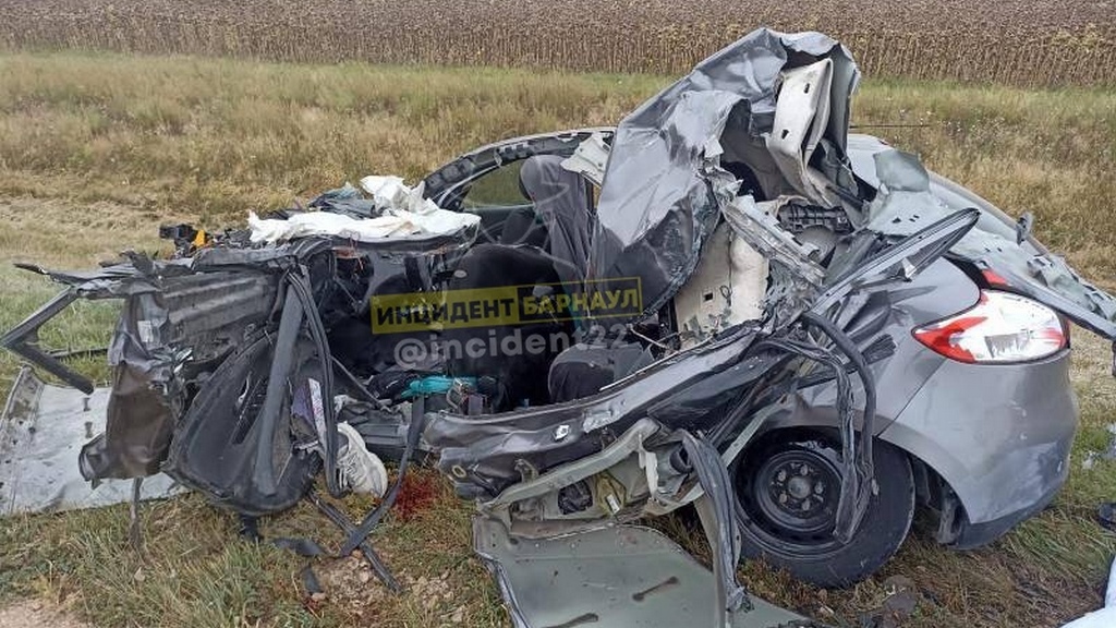 В соцсетях появились кадры смертельной аварии в Поспелихинском районе Фото №3