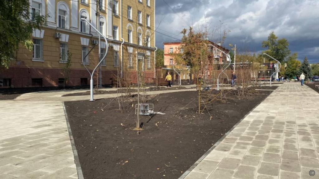 В барнаульском сквере Медиков высаживают сотню деревьев Фото №2