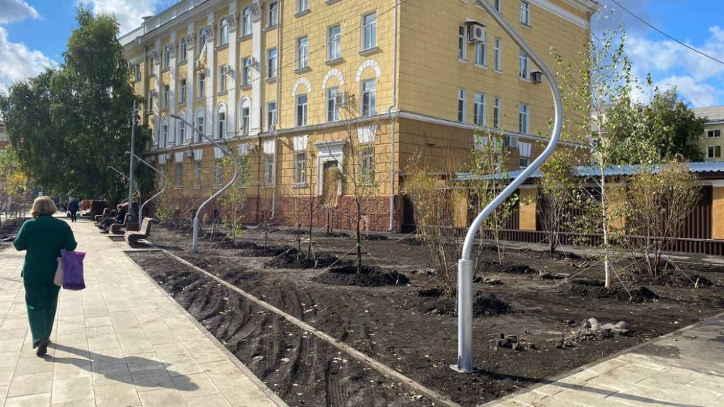 В барнаульском сквере Медиков высаживают сотню деревьев Фото №3