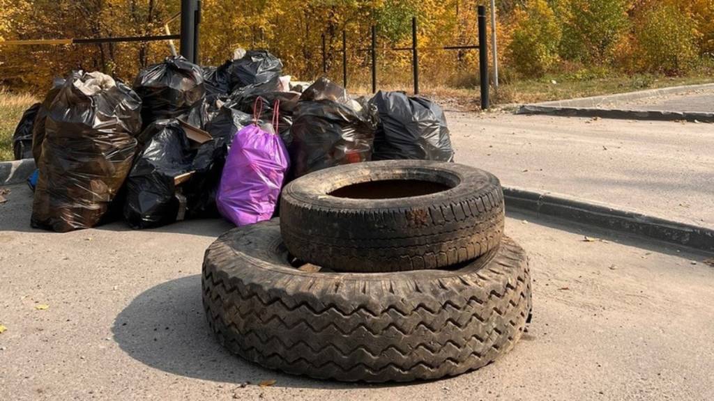 В барнаульском парке «Юбилейном» прошел субботник Фото №4
