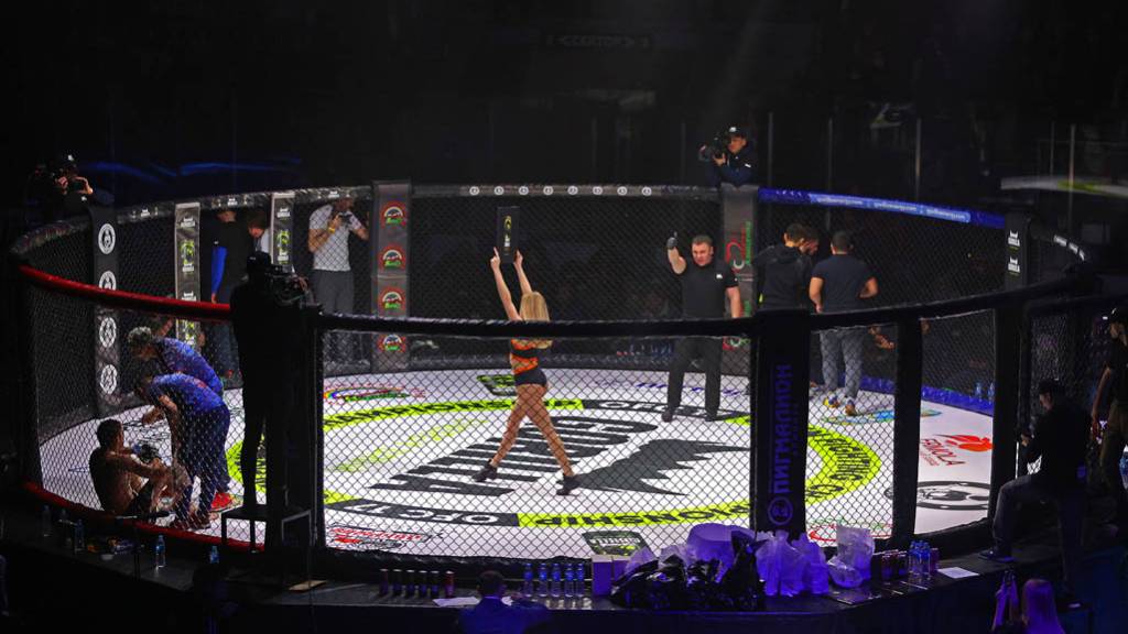 В Барнауле состоится международный MMA- турнир OPEN FC Фото №1