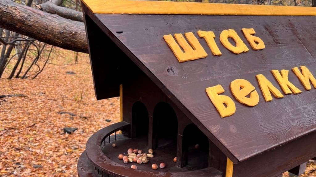 В барнаульском парке «Юбилейном» обновили Штаб белки Фото №3