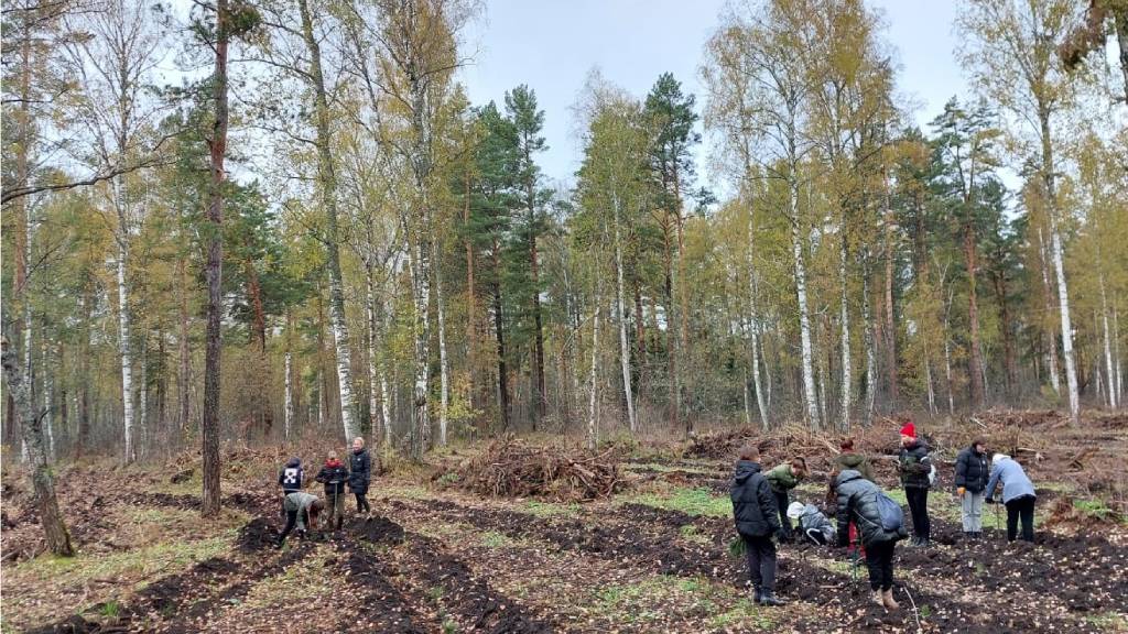 В Солтонском районе поддержали акцию «Сохраним лес» Фото №2