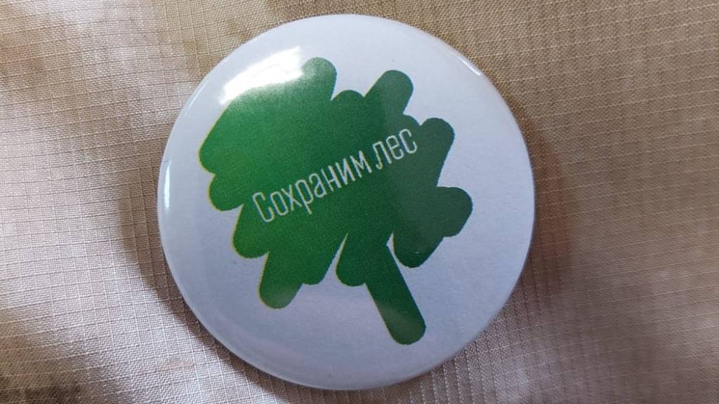 В Солтонском районе поддержали акцию «Сохраним лес» Фото №3