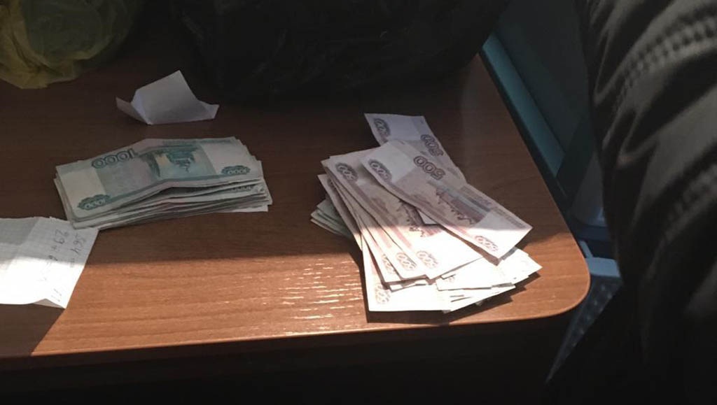 Осужден последний из контрабандистов, которые пытались нелегально вывезти соколов-сапсанов из Алтайского края Фото №3