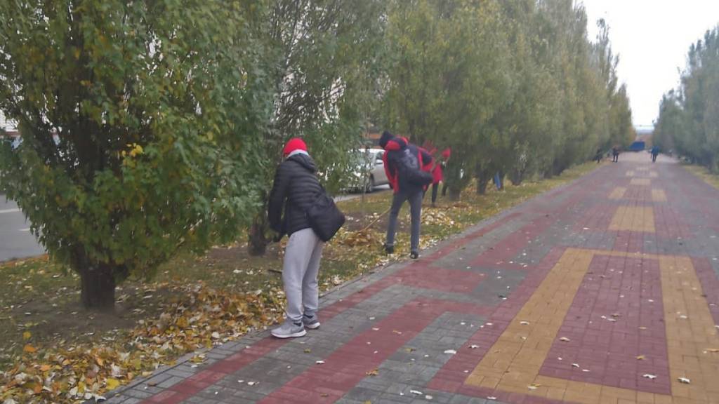 Как в Барнауле прошел «чистый четверг» Фото №3