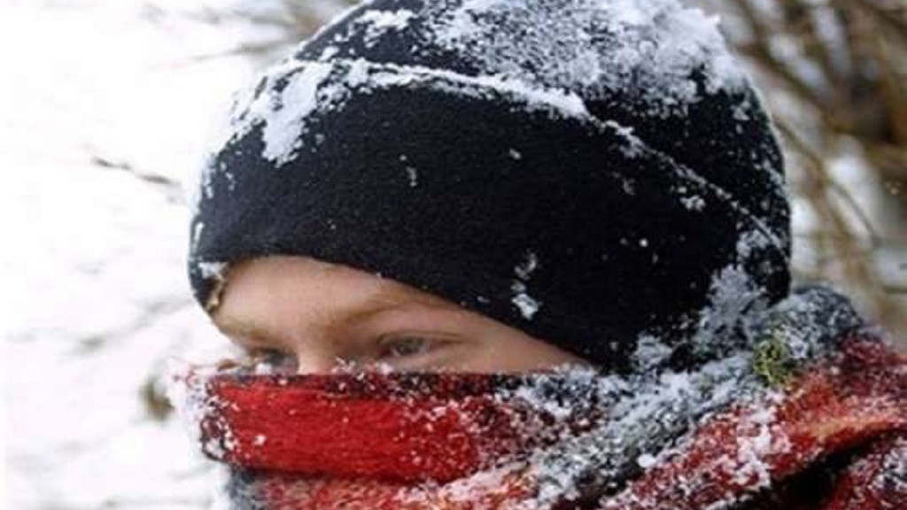 Более 20 жителей Алтайского края получили обморожения за минувшую неделю Фото №1