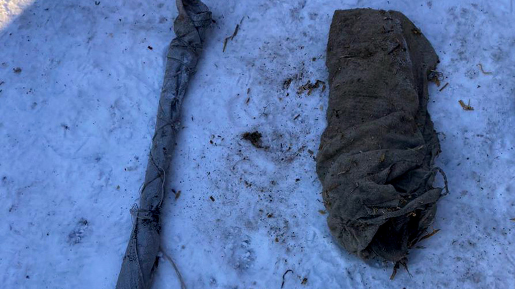 Жителя Петропавловского района задержали по подозрению в отстреле двух лошадей Фото №1