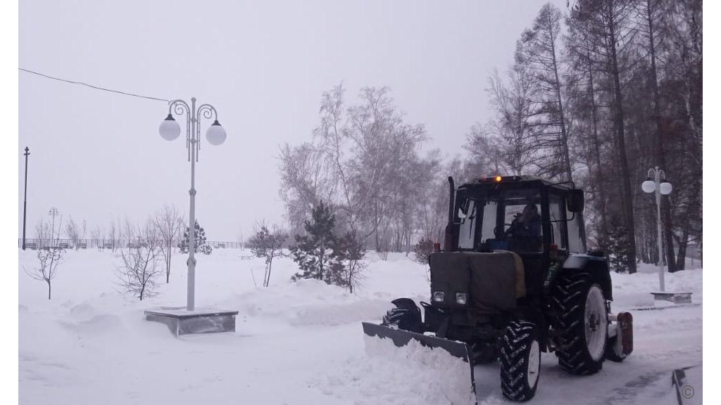 Фото: Администрация города Барнаула