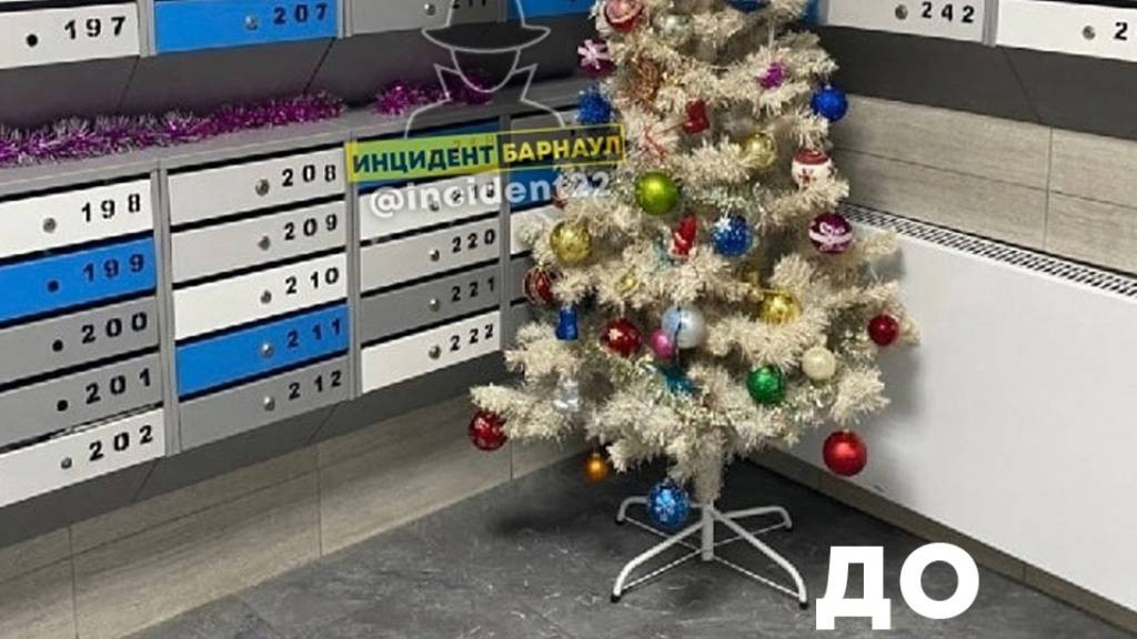 Фото: «Инцидент Барнаул»