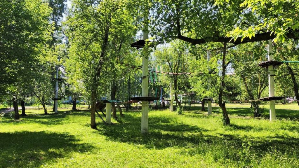 В Новоалтайске вынесен приговор владельцу веревочного парка, где пострадала девочка Фото №1