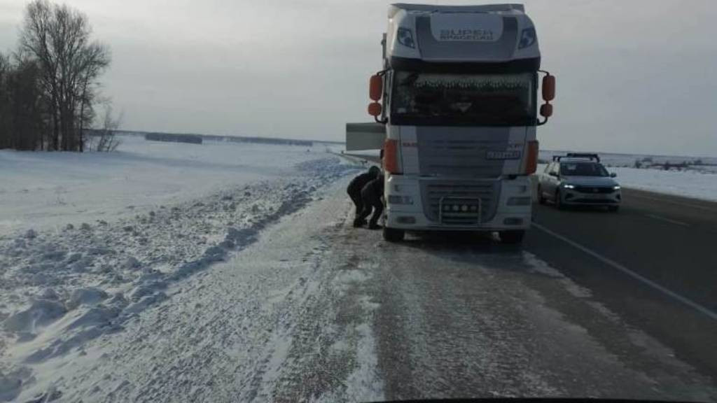 Фото: ГУ МВД России по Алтайскому краю
