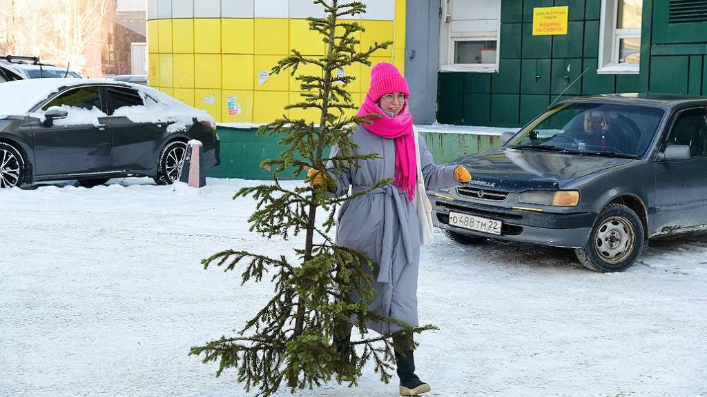 Фото: официальный сайт Барнаула