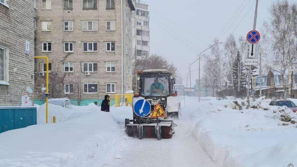 Фото: официальный сайт Барнаула