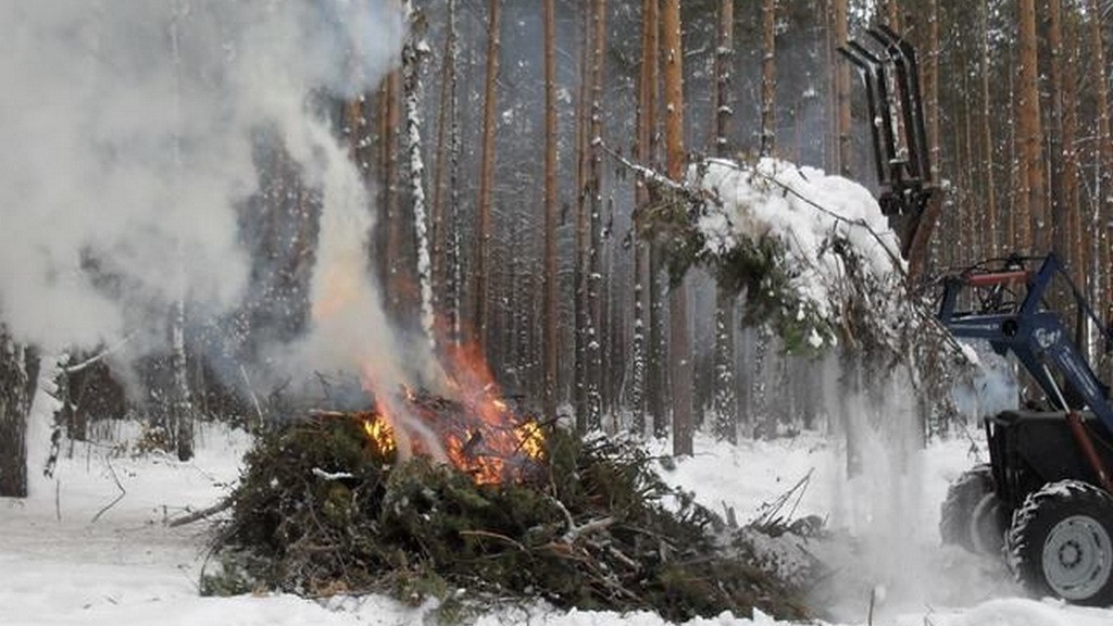 Фото: Минприроды Алтайского края