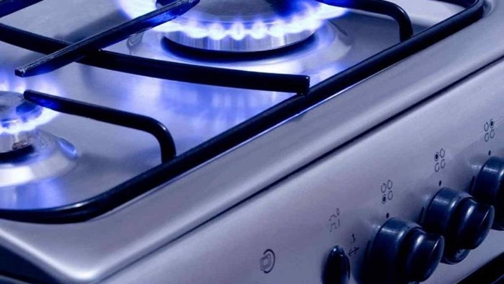 В Госдуме обсудили меры наказания за недопуск газовщиков в квартиру Фото №1