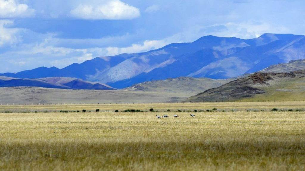 В пяти алтайских селах произошло землетрясение Фото №1