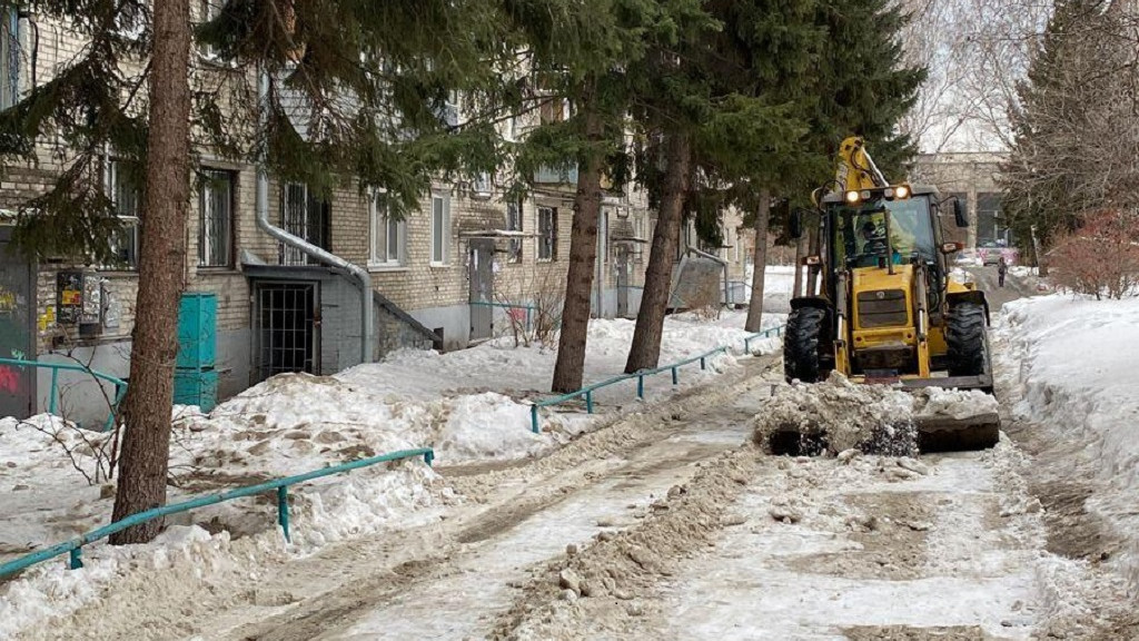 Фото: администрация Барнаула
