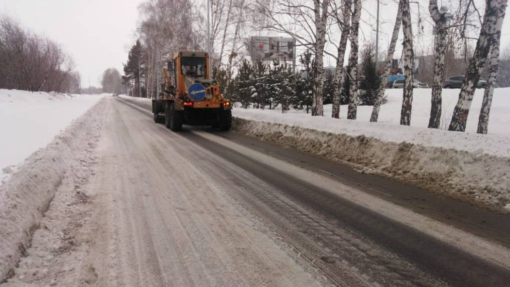 Фото: официальный сайт Барнаула