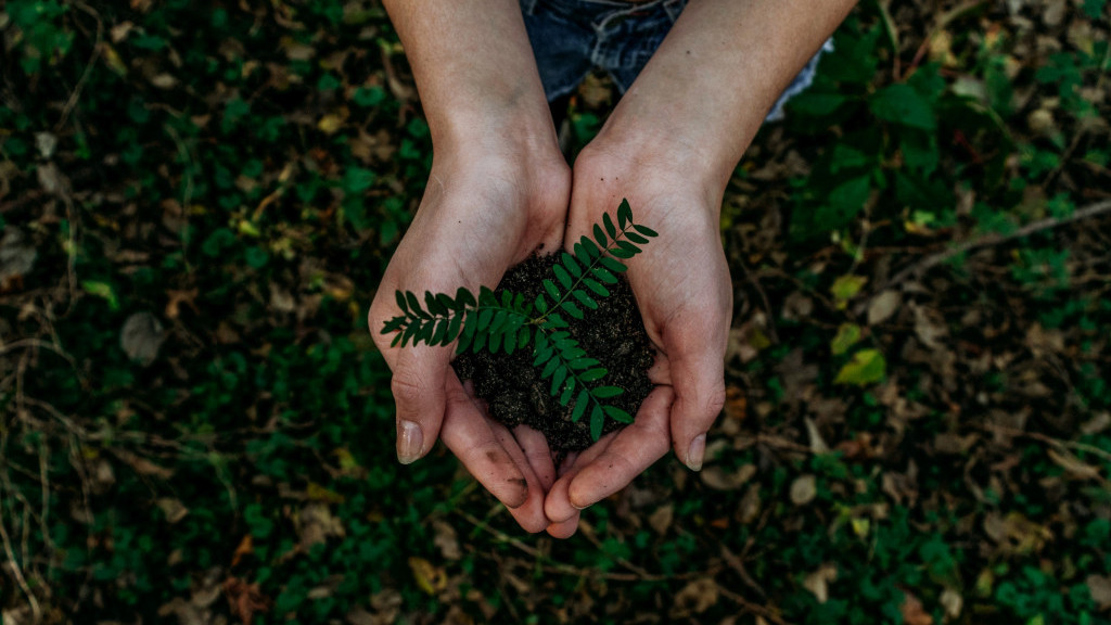 Фото: unsplash.com