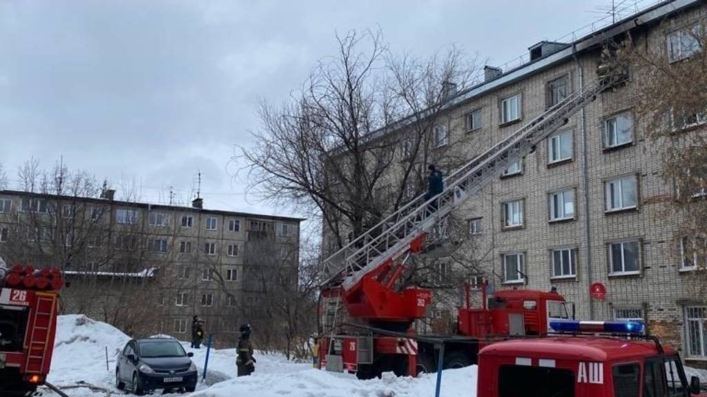 Фото: ГУ МЧС России по Алтайскому краю