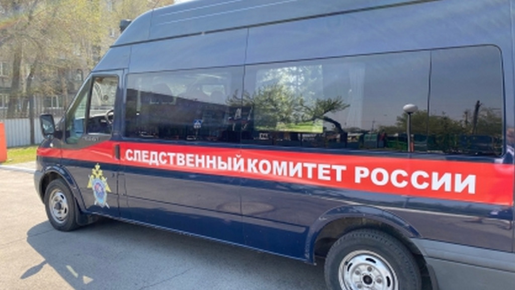 Фото: СУ СКР по АК