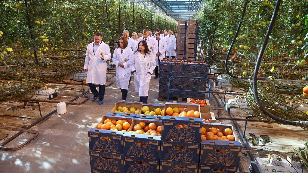 Делегация из Республики Беларусь посетила тепличный комплекс в Барнауле и дилерский центр белорусских заводов сельхозмашиностроения Фото №2