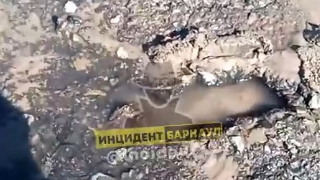 Кадр из видео: