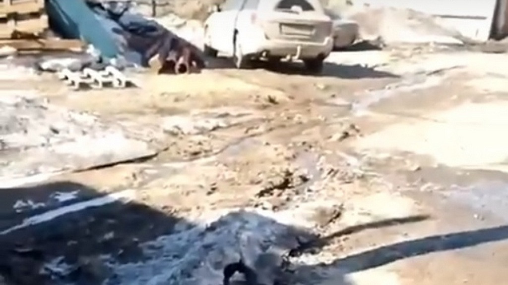 Кадр из видео: