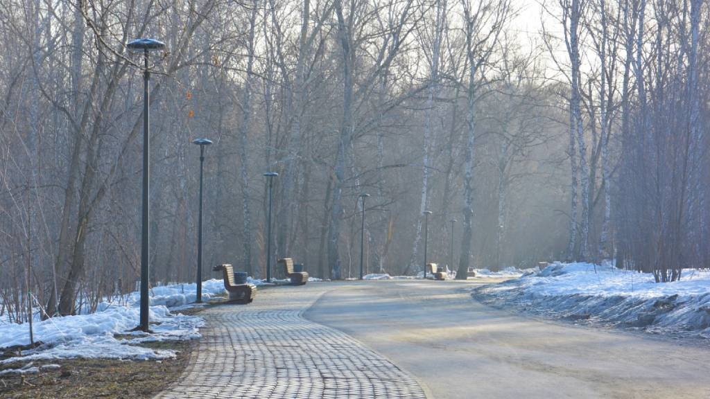Фото: официальный сайт Барнаула