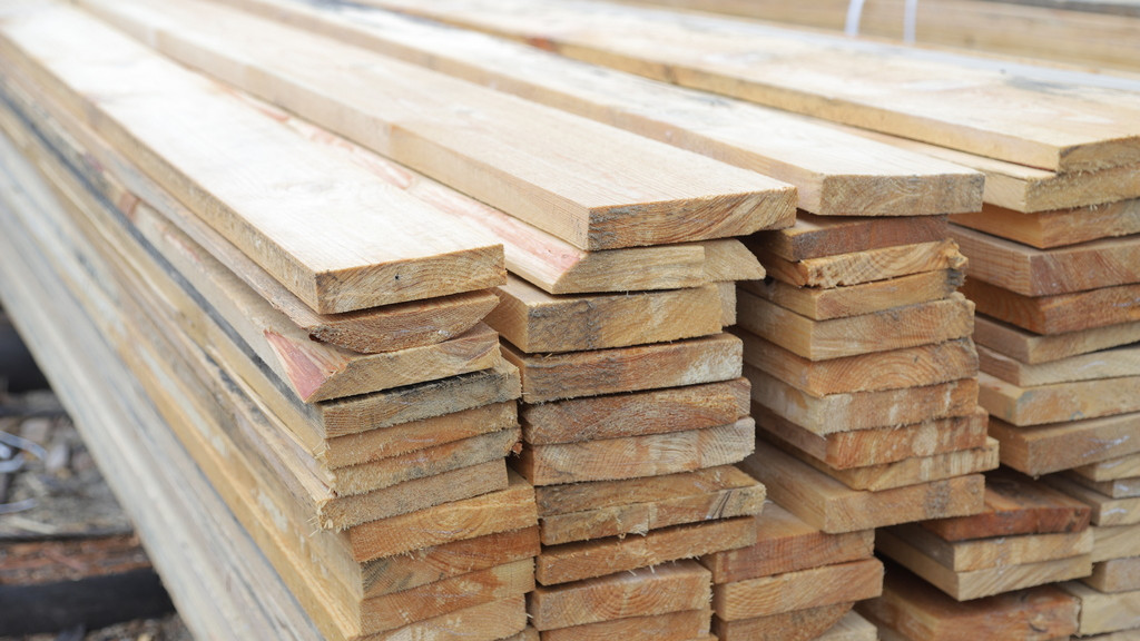 Житель Алтайского края организовал контрабанду лесоматериалов через границу Фото №1