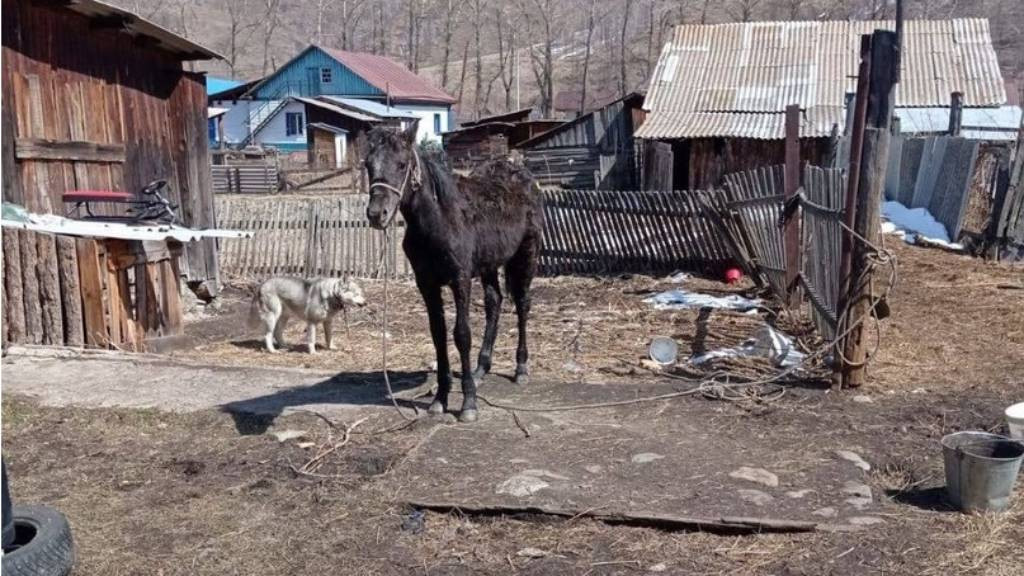 Фото: «Барнаул 22»