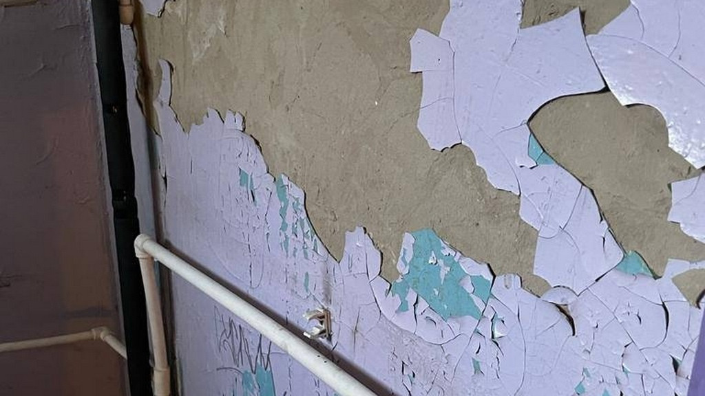 Фото: В курсе 22