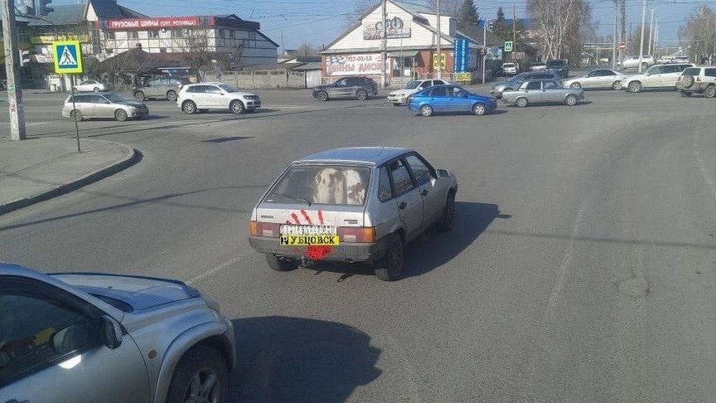 Фото: Инцидент Рубцовск